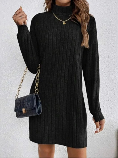 Autumn Turtleneck Dress