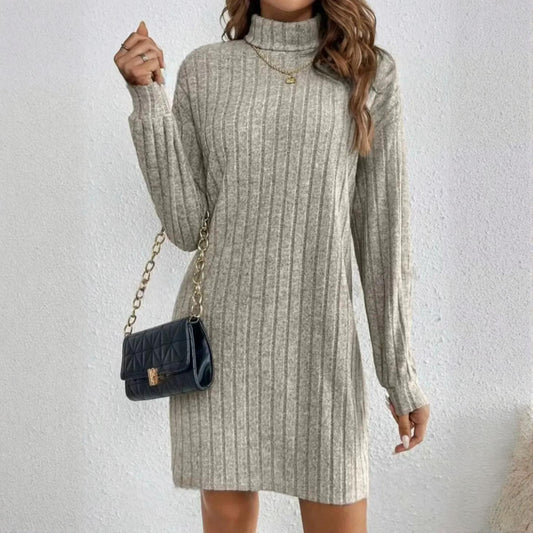 Autumn Turtleneck Dress