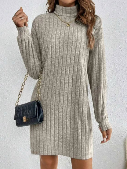 Autumn Turtleneck Dress