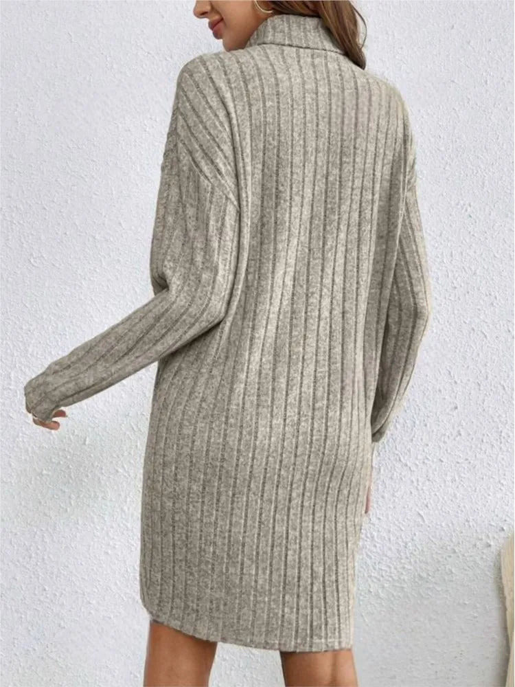 Autumn Turtleneck Dress